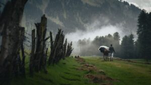 Pahalgam 1