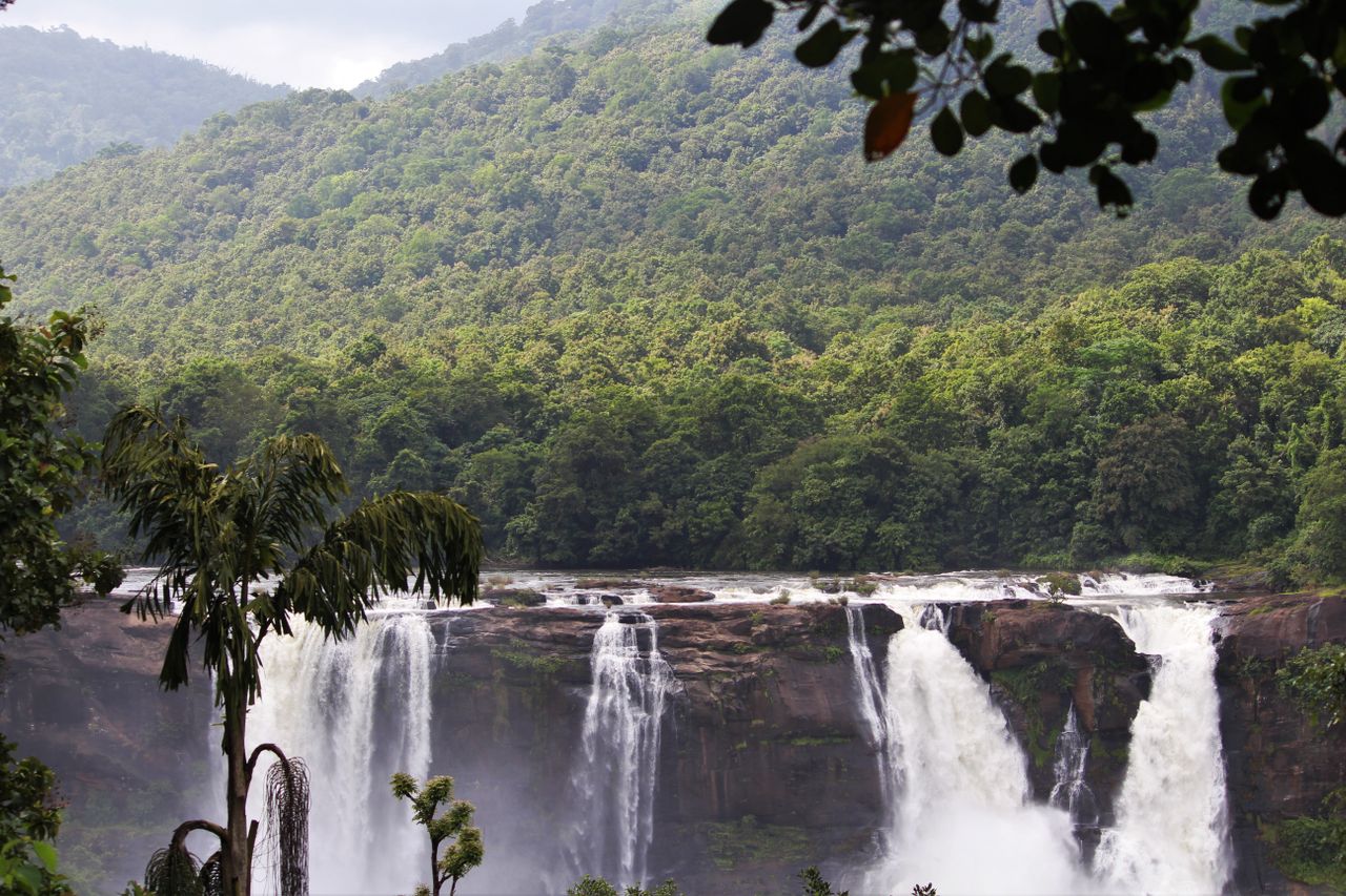 Waterfall Excursion