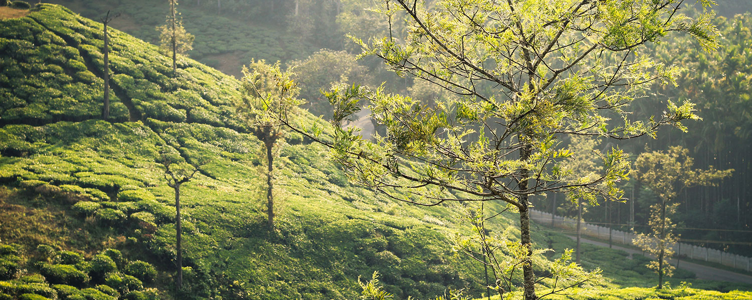 Coorg