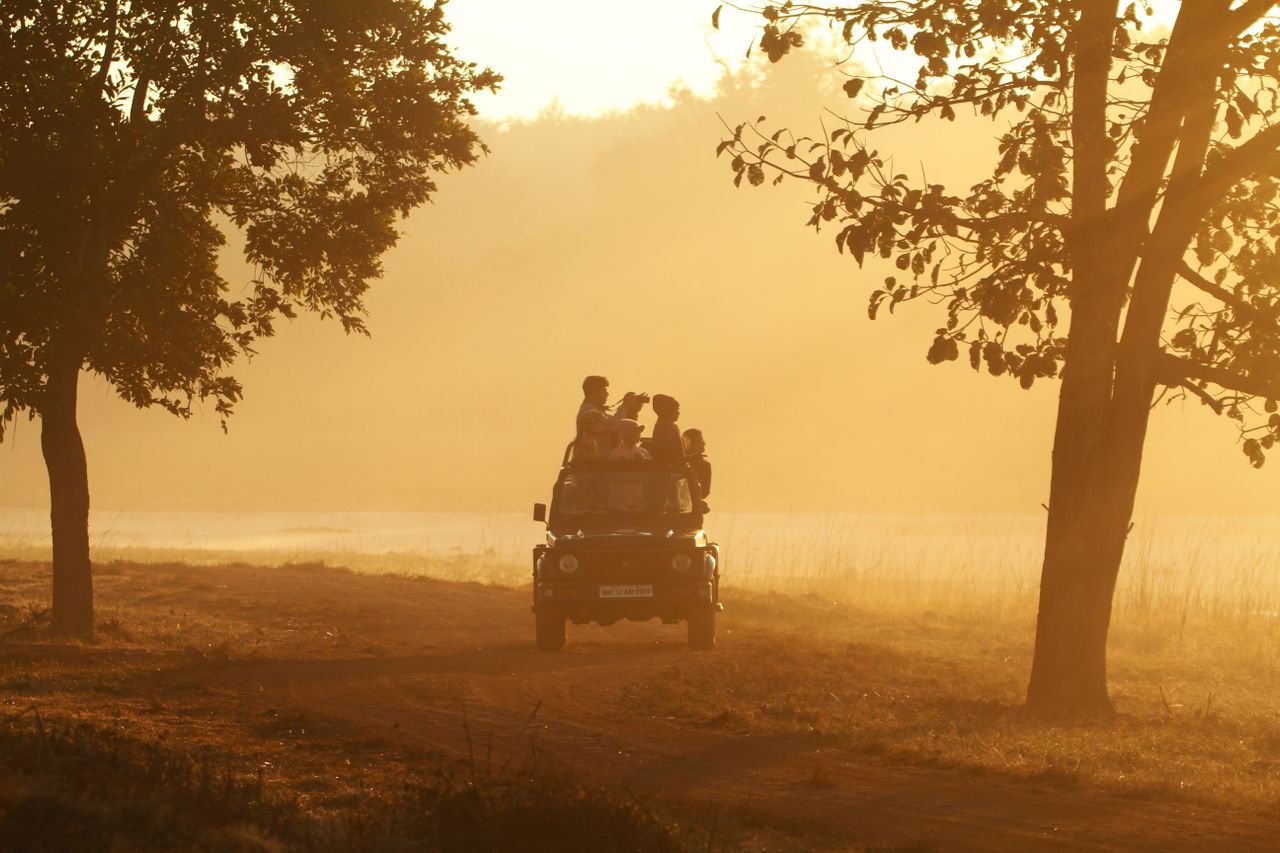 Kabini Safari