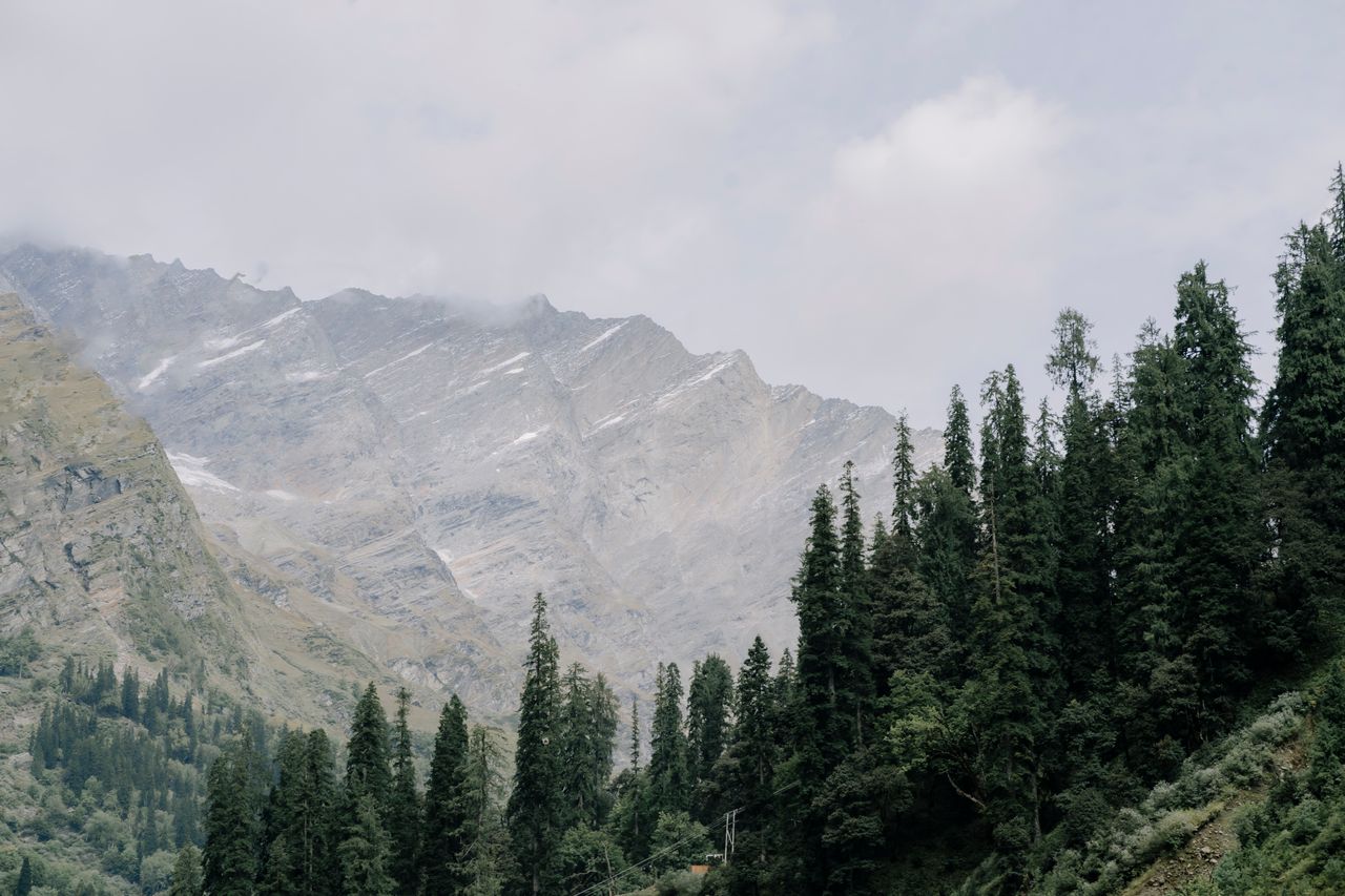 Mountain Serenity