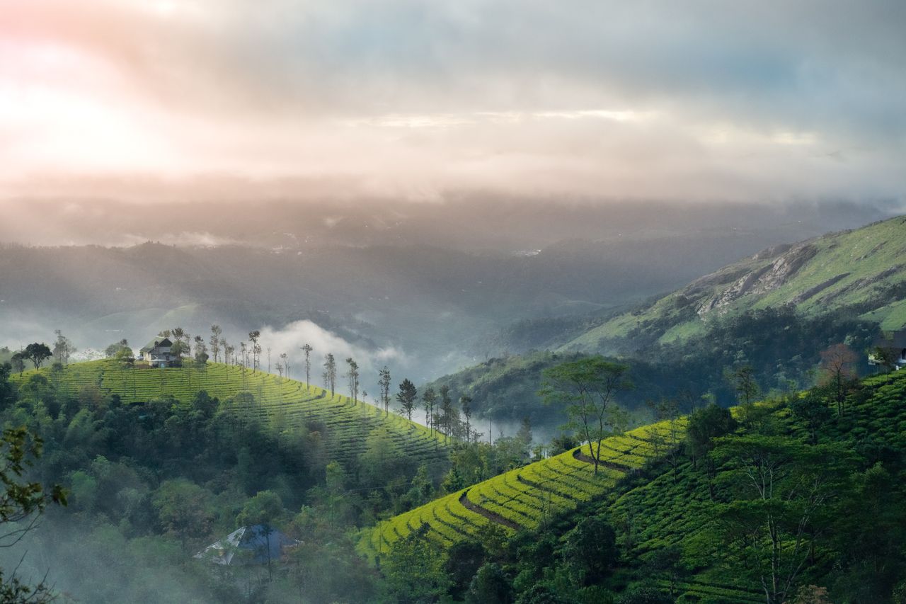 Mountain Top View