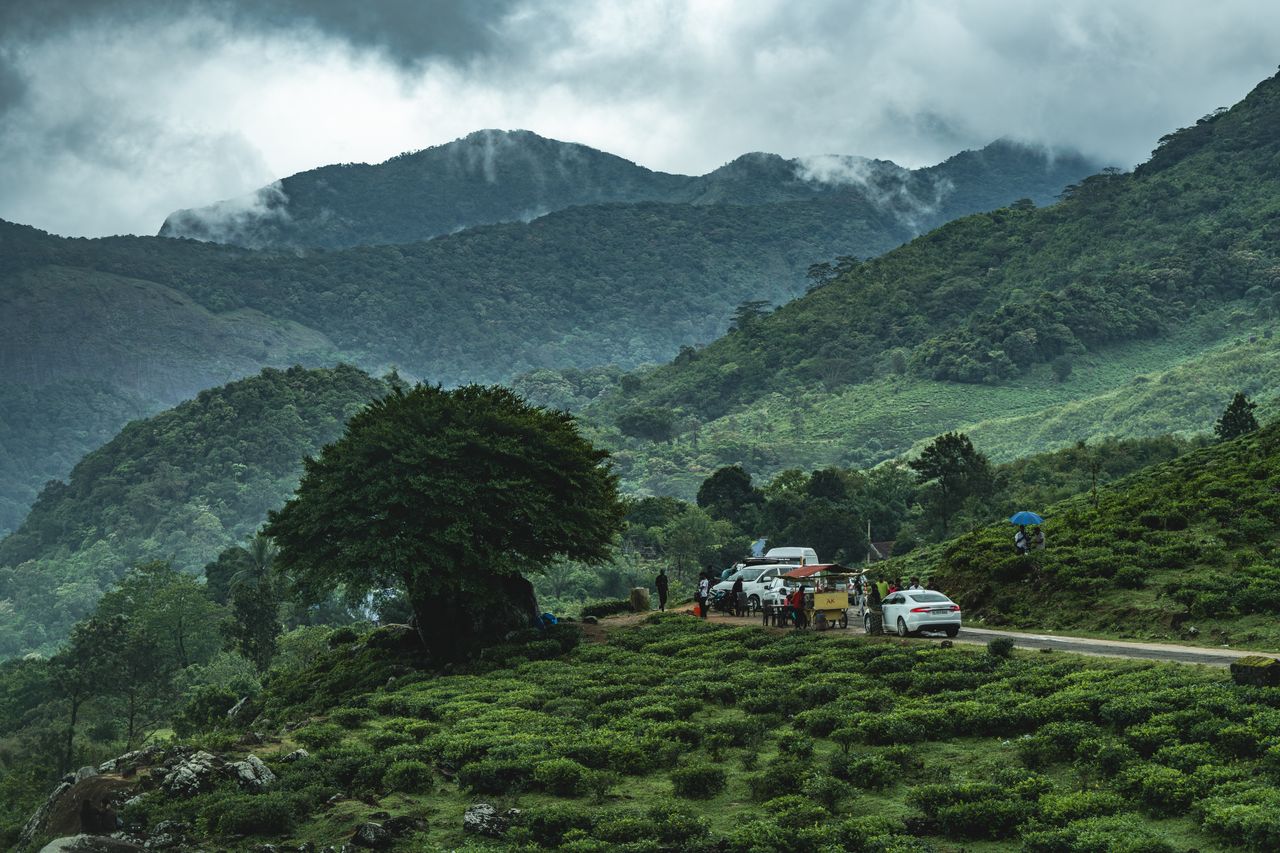 Mountain Trek
