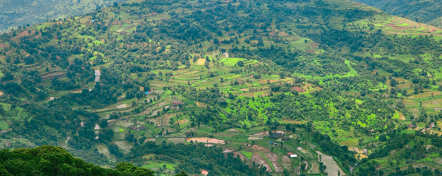 Nashik