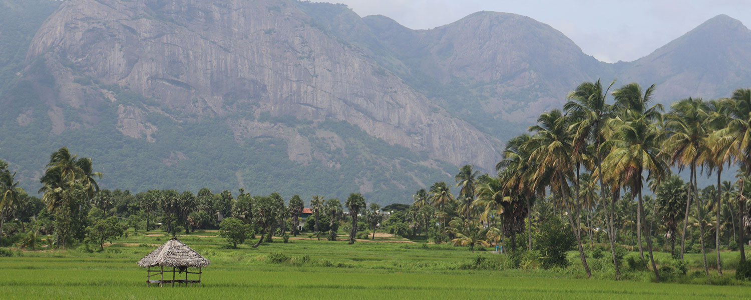 Palakkad