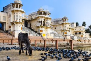 Pushkar 1