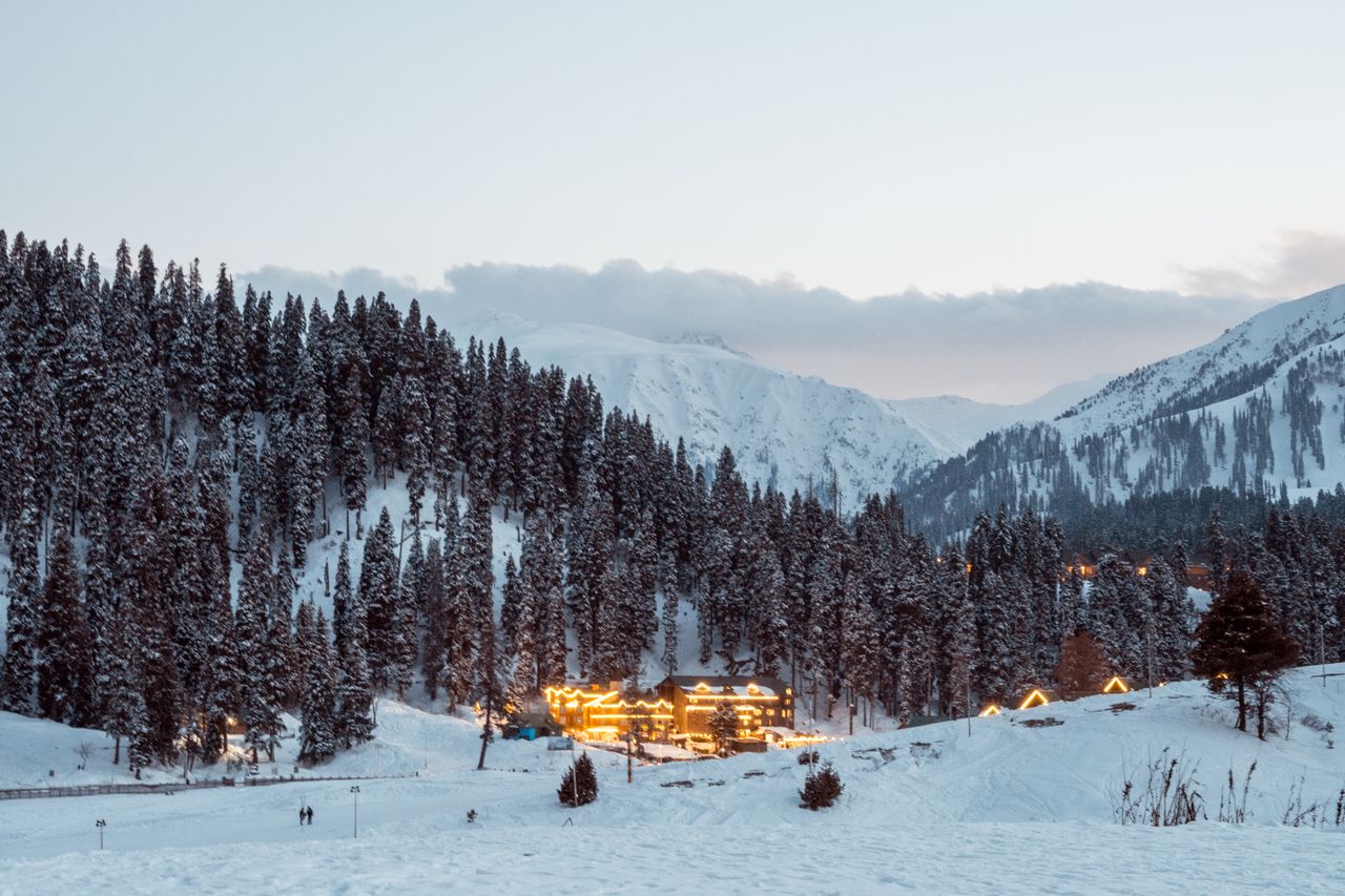 Snow Paradise