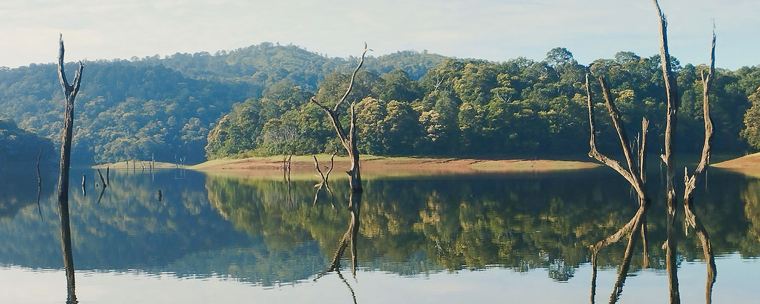 Thekkady