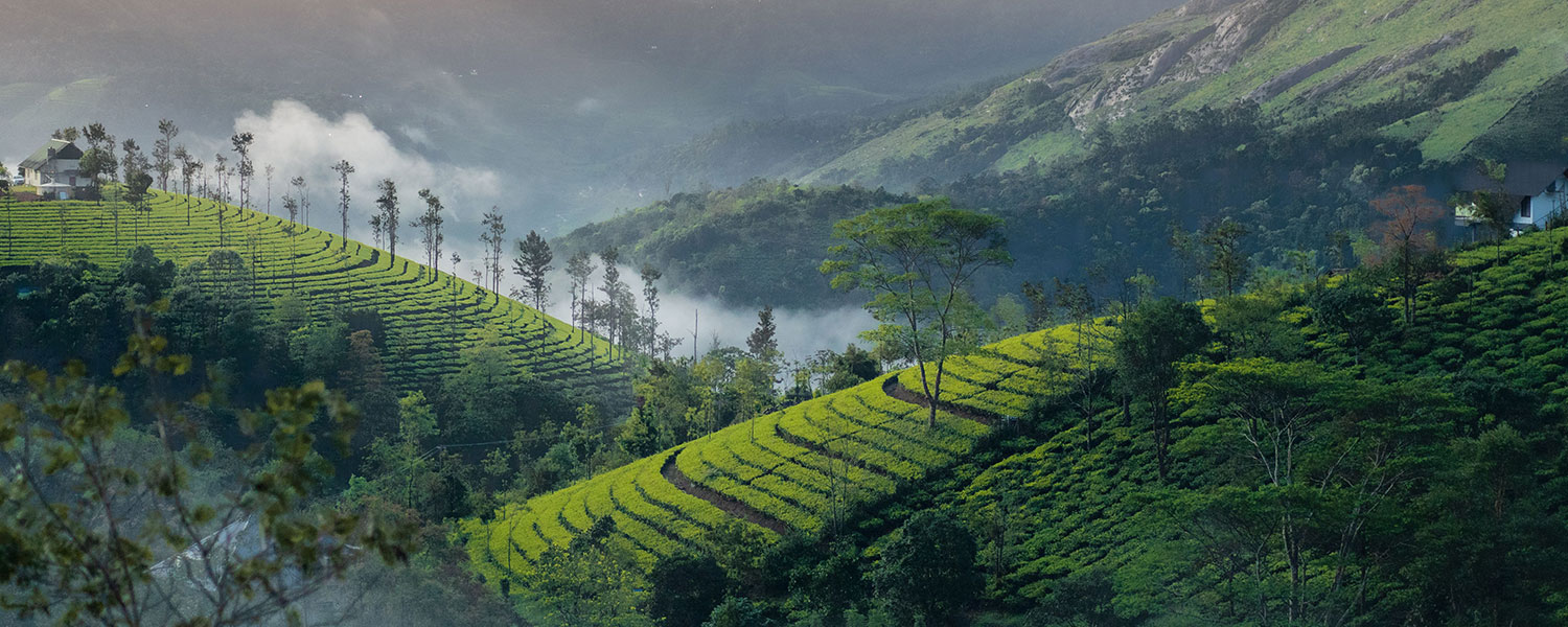 Vagamon