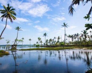 Poovar 4