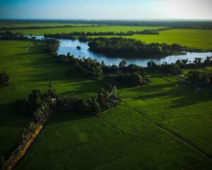 Kuttanad 3
