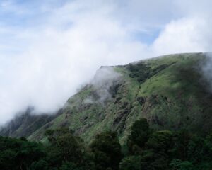 Silent Valley 2