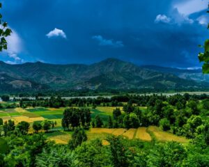 Lolab Valley 3