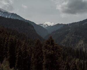 Manali 2