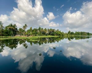 Poovar 3