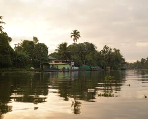 Kuttanad 2