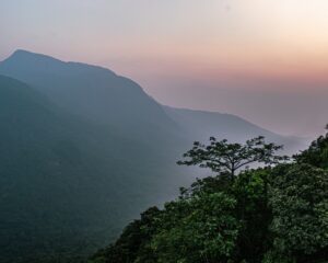 Silent Valley 1