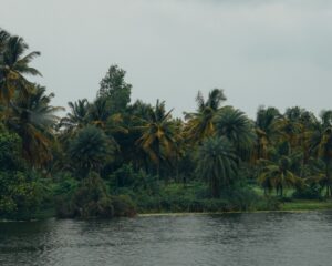 Poovar 2