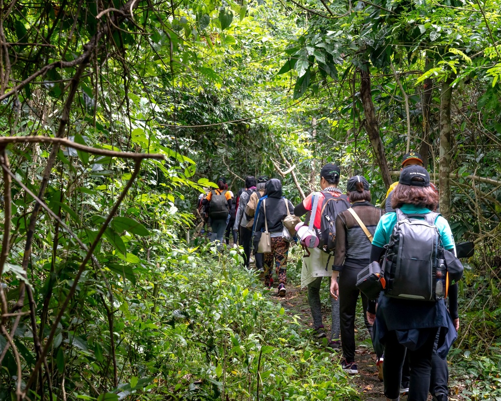 Jungle Trek