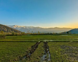 Lolab Valley 1