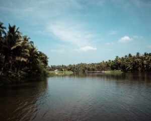 Poovar 1