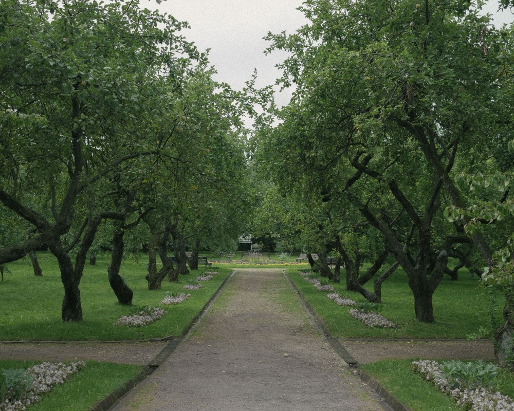 Orchard Walk