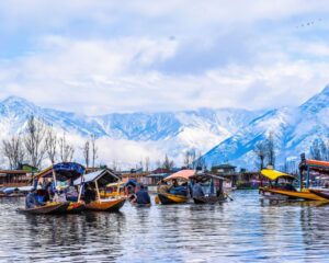 Srinagar 3