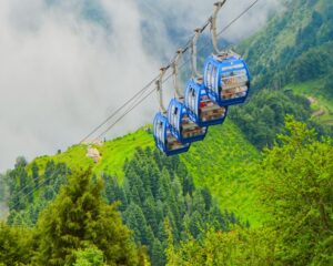 Dalhousie 1
