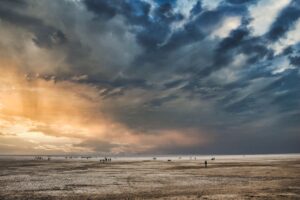 Rann of Kutch 4