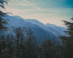 Dalhousie 2