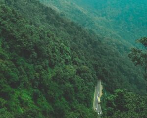 Wayanad 3